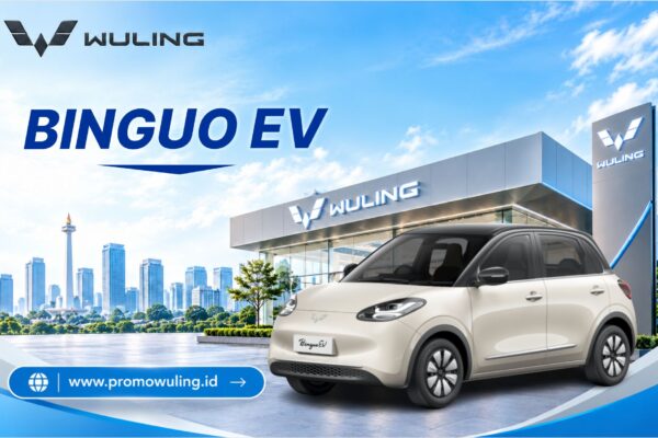 Binguo EV