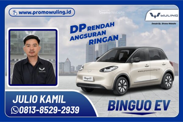 Binguo EV