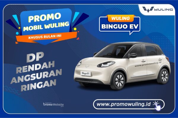 Binguo EV